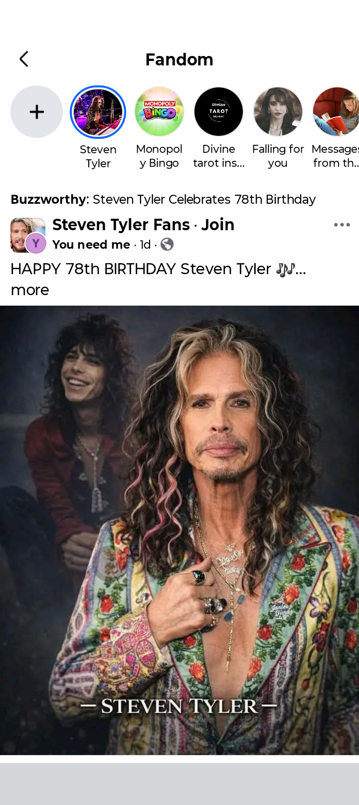 Steven Tyler Musician