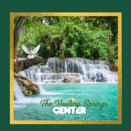 The Healing Springs Center